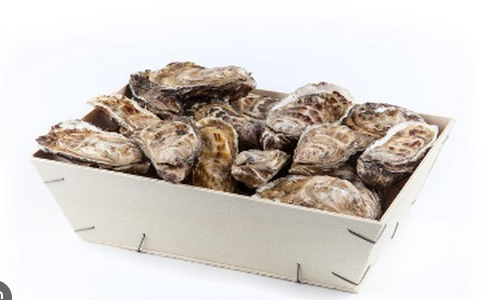 Bourriche 25 Huitres Fines claires n°3