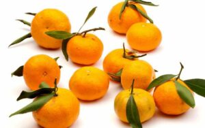 Cagette Mandarine Ciaculli Bio 6 kg
