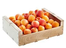 CAGETTE ABRICOT CONFITURE 5KG